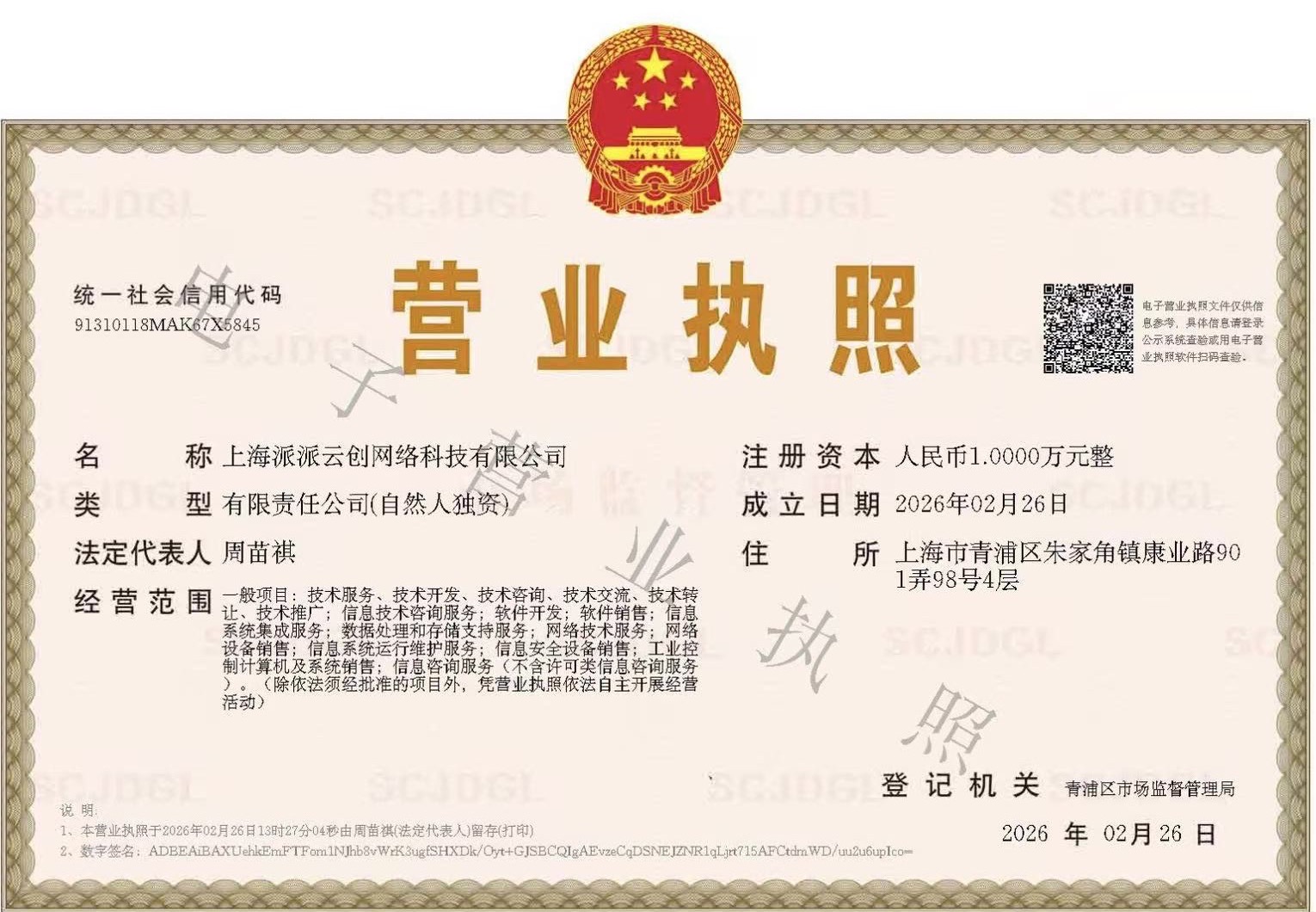 上海派派云创网络科技有限公司营业执照